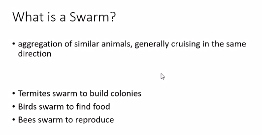swarm