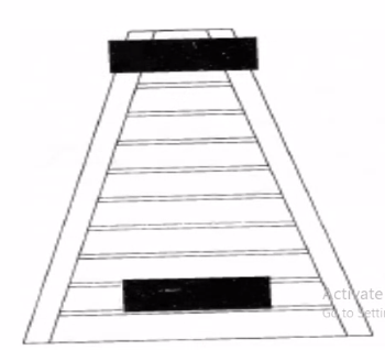 ladder